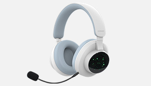 B320 Bluetooth headset