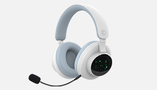 B320 Bluetooth headset